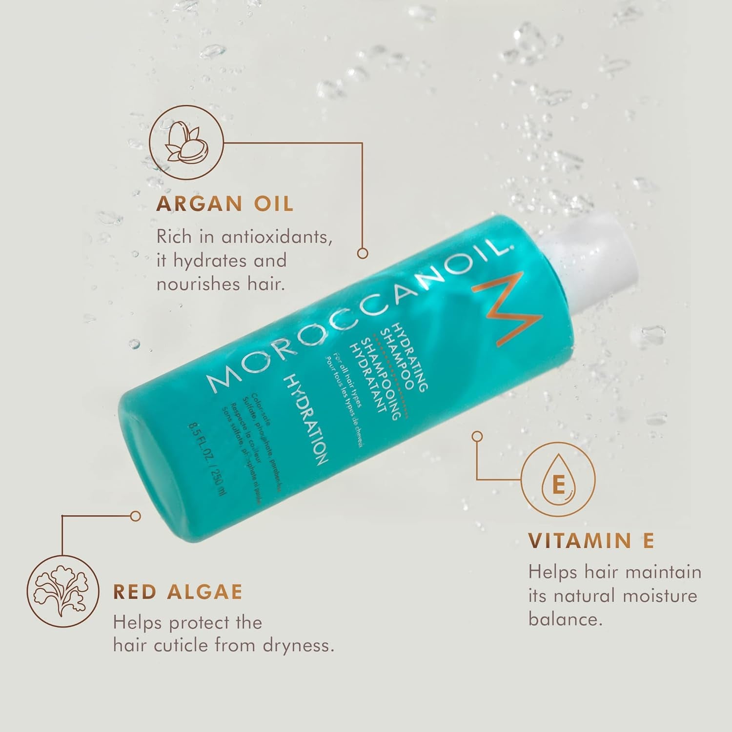 Moroccanoil Pacchetto Shampoo E Balsamo