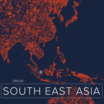 Olio Di Cocco Frazionato (No. 218) - 870Ml - Puro, Vegano, Senza OGM - Idratante per La Pelle, Capelli, Viso, Unghie