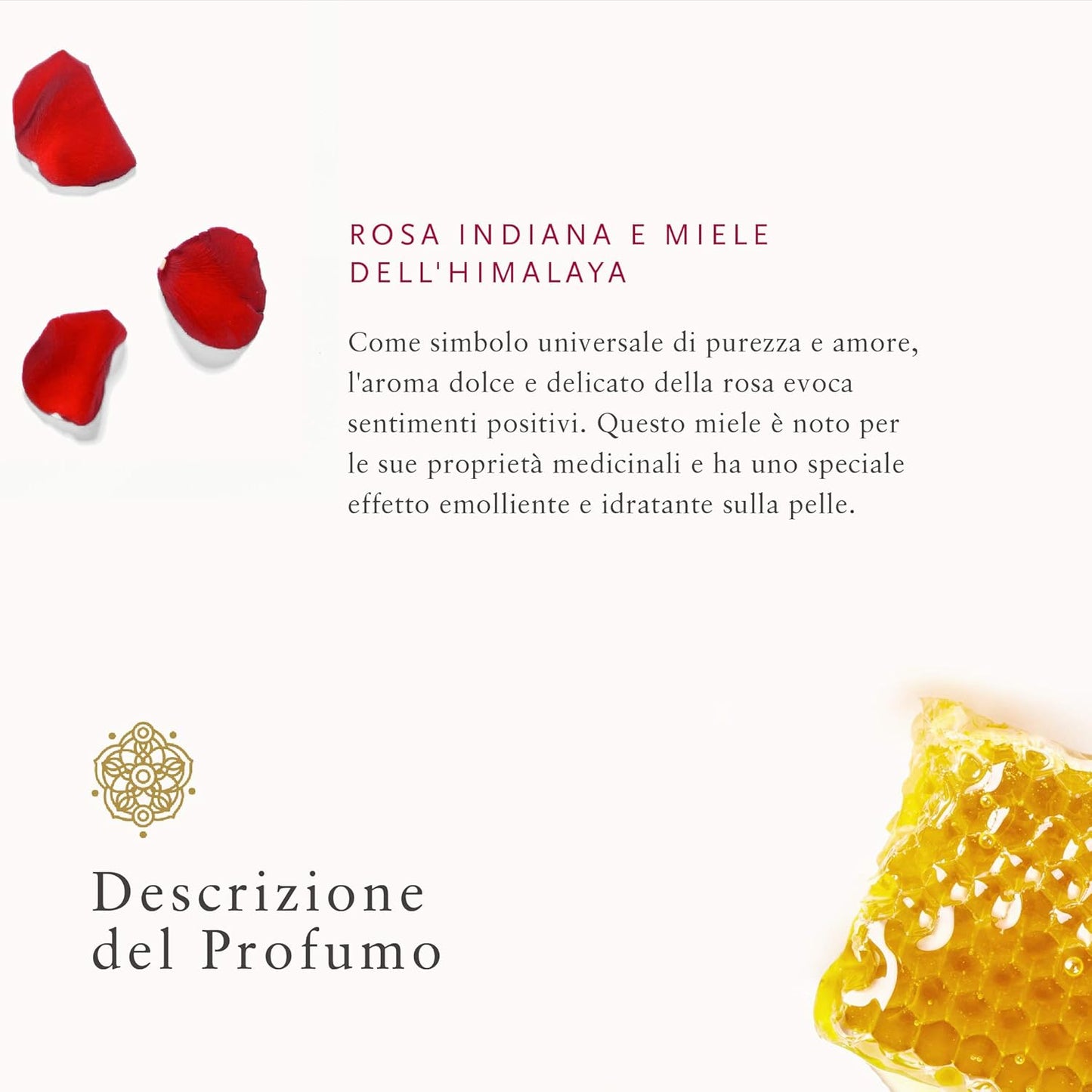 the Ritual of Ayurveda - Crema per Il Corpo, 220 Ml