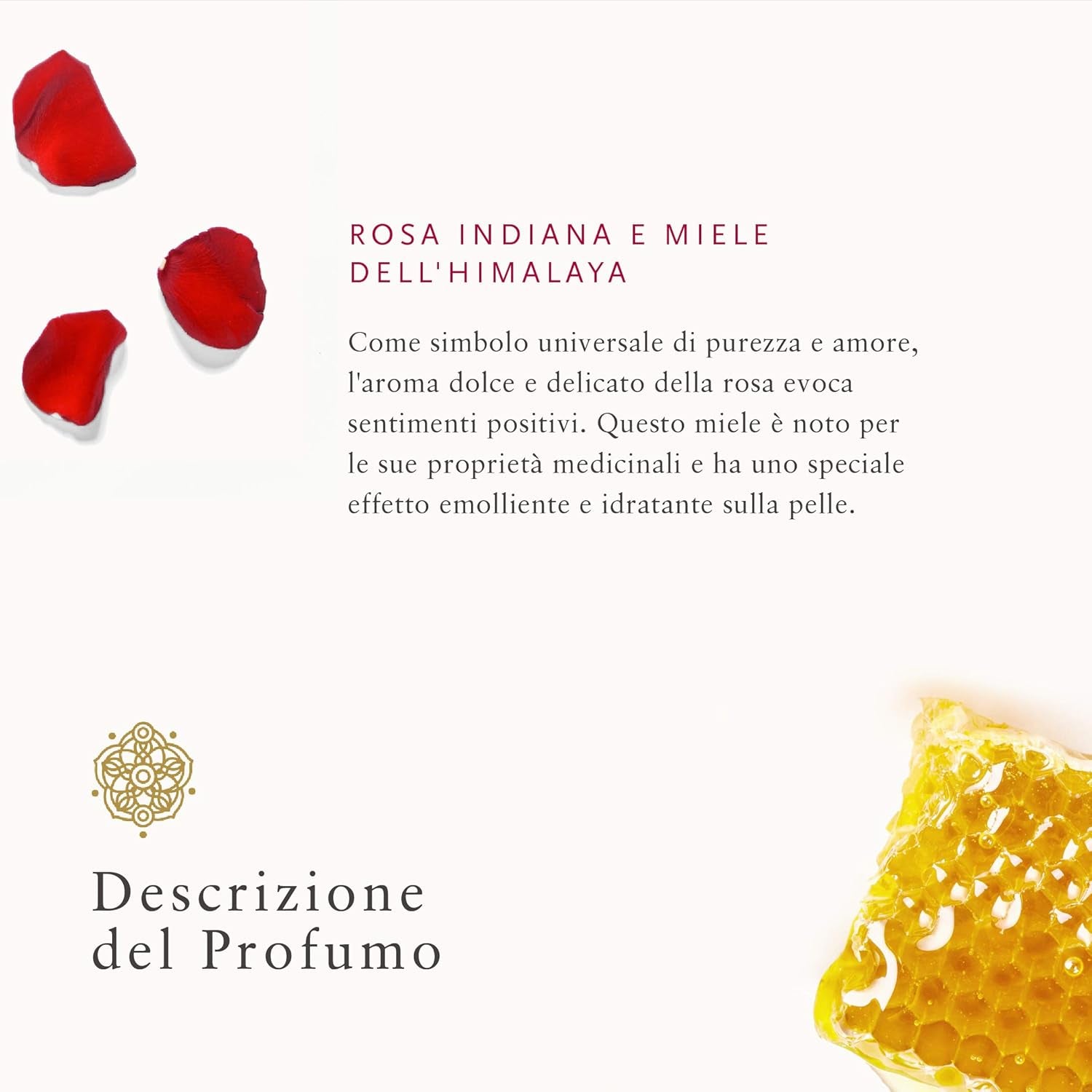 the Ritual of Ayurveda - Crema per Il Corpo, 220 Ml